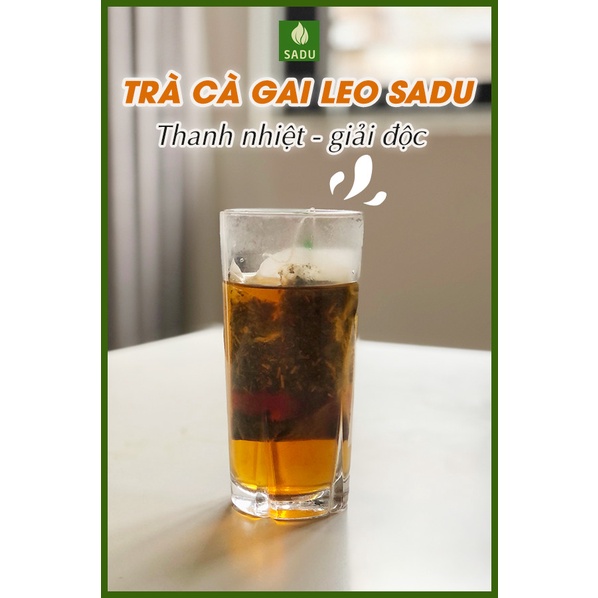 Trà túi lọc cà gai leo Sadu gói 1kg
