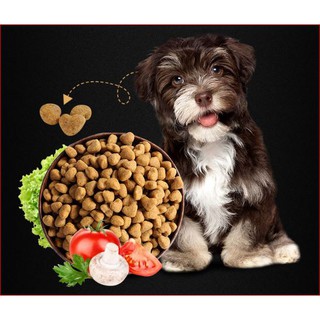 Thức ăn hạt cao cấp cho chó Poodle loại mới