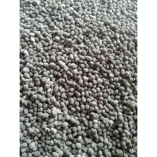 Phân Dê đã qua xử lí nấm trichoderma