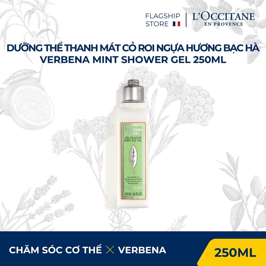 Gel Dưỡng Thể Thanh Mát Cỏ Roi Ngựa Hương Bạc Hà 250ml L'Occitane