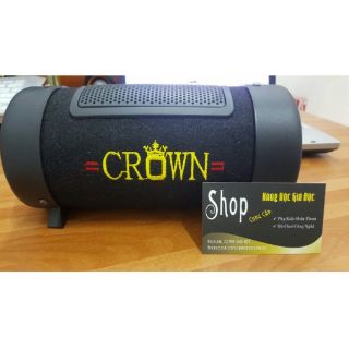 Loa điện chính hãng CROWN công suất lớn
