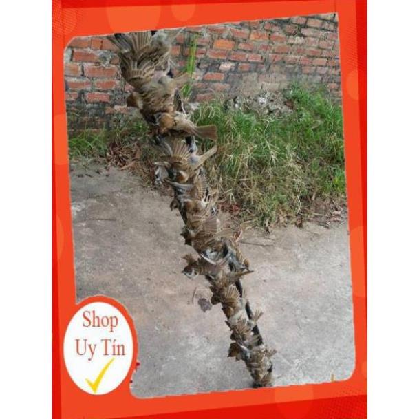 [Xả Kho] 5 hũ keo bẫy chim sẻ