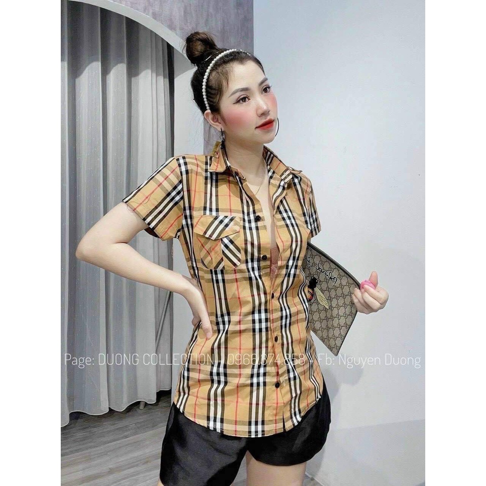 Áo sơ mi kẻ sọc buberry cộc tay túi hộp quốc dân vải đẹp LACO16