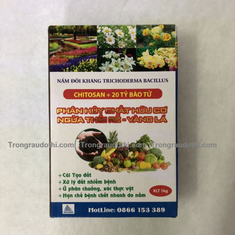 nấm đối kháng trichodema