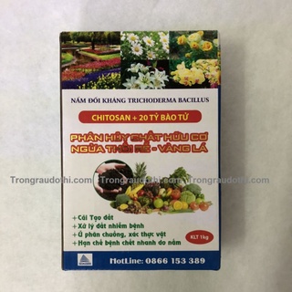 Nấm đối kháng trichodema