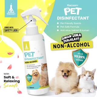 Image of Racoon Pet Disinfectant  ALCOHOL FREE / Disinfektan Anjing Kucing 250ml