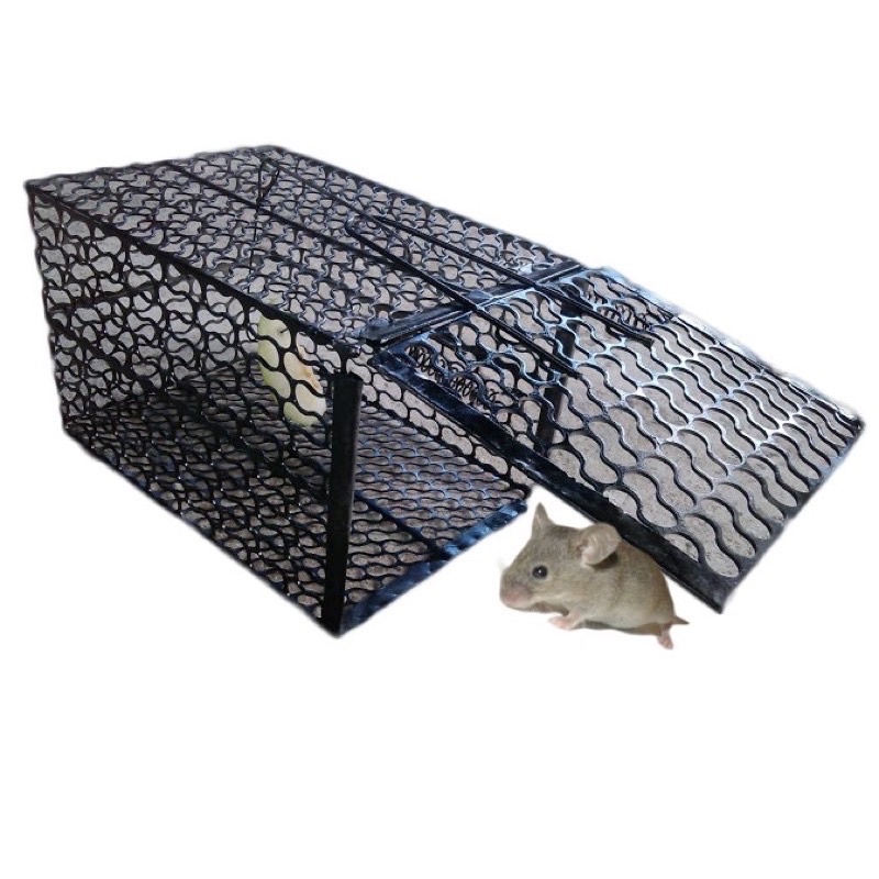 Bẫy chuột lồng làm bằng sắt kẽm có sẵn hàng