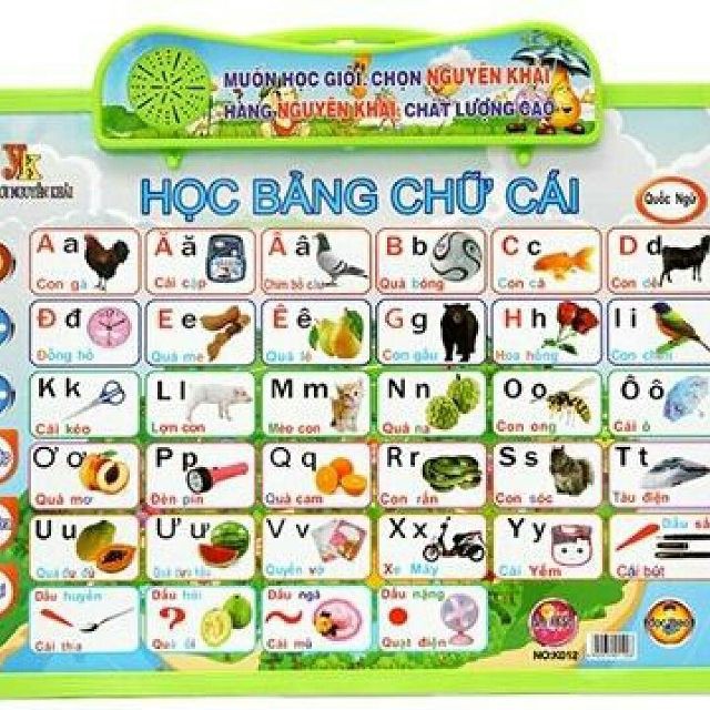 BẢNG ĐỌC SONG NGỮ ANH VIỆT 5 IN 1 | BigBuy360 - bigbuy360.vn