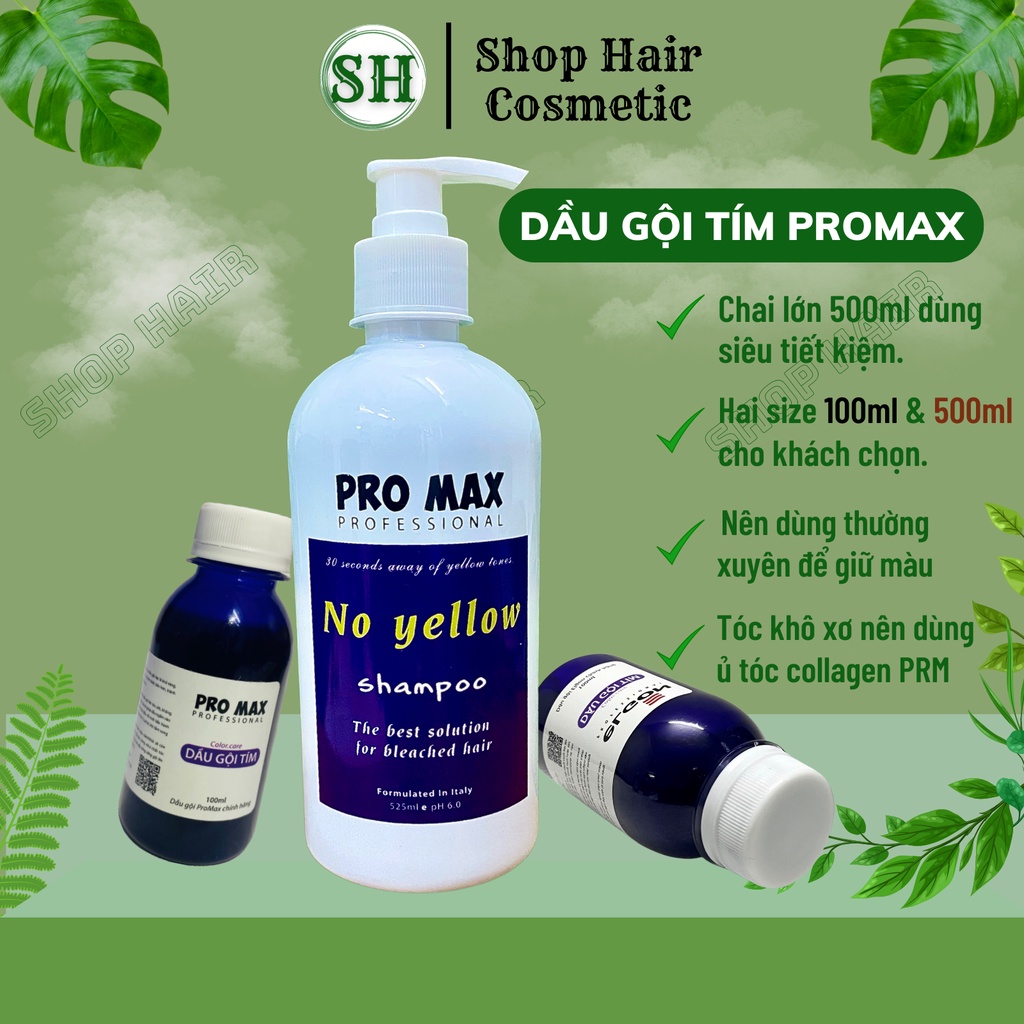 Dầu gội tím Promax, dầu gội khử vàng và giữ màu dành cho tóc tẩy nhuộm màu thời trang | Bill Hair, Billhair
