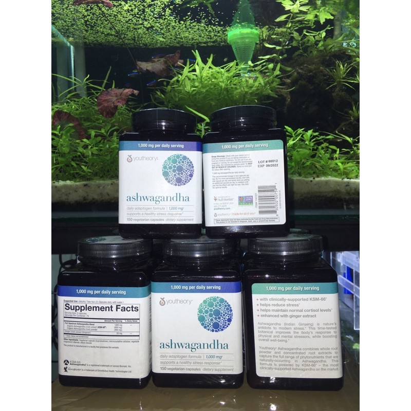 [Bill Mỹ ]Viên uống nhân sâm Ấn Độ Youtheory Ashwagandha 1000mg 150 viên | Thế Giới Skin Care