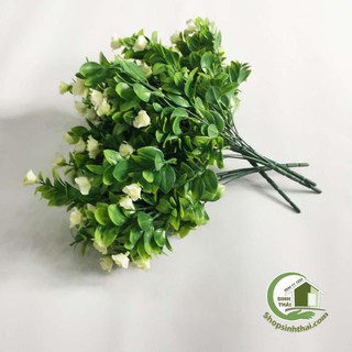 Bụi cây hoa nhài