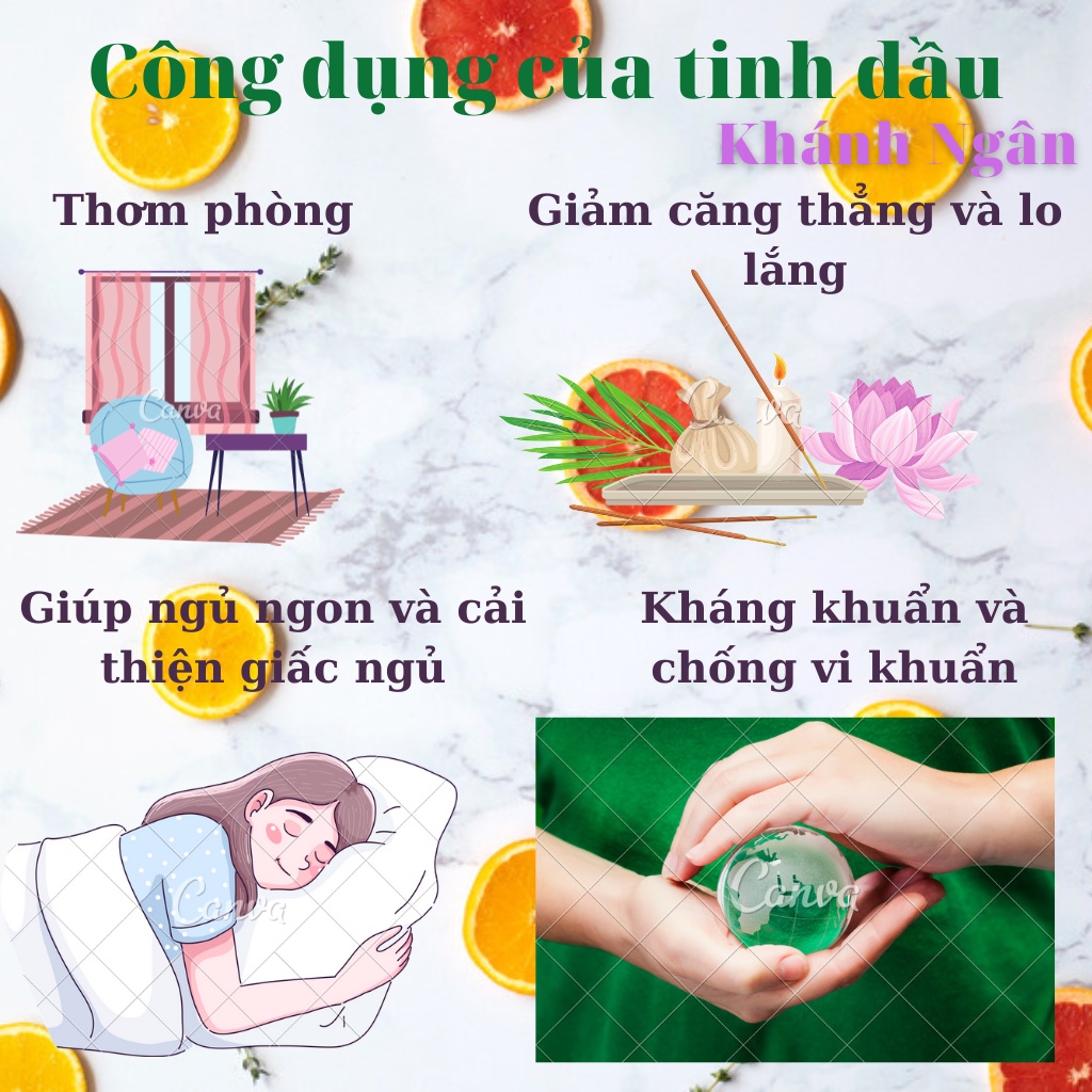 Tinh dầu thiên, tinh dầu thơm thiên nhiên giúp thơm phòng, xả stress, kích thích miễn dịch