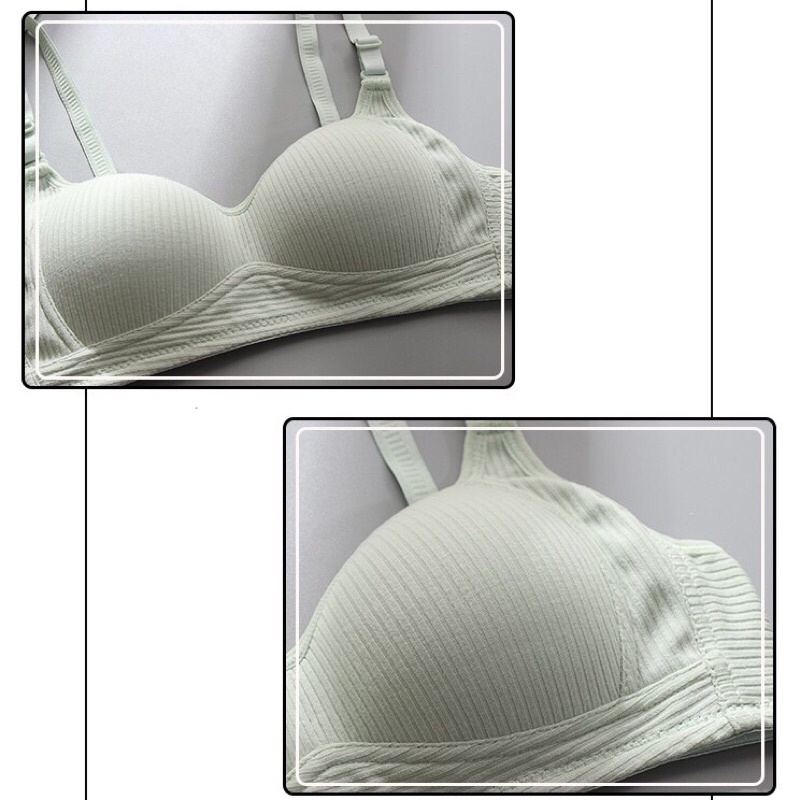 Áo ngực nữ sinh không gọng đệm mỏng chất cotton mềm mỏng nhẹ D43