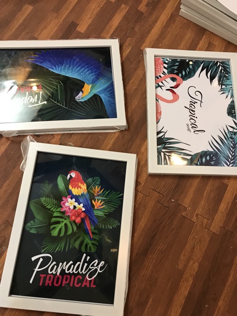 khung ảnh có kính vừa cỡ a4 | BigBuy360 - bigbuy360.vn