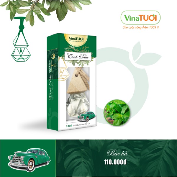 Tinh Dầu Treo Xe Oto Vina Tươi Hương Bạc Hà , Treo xe Hơi 10ml