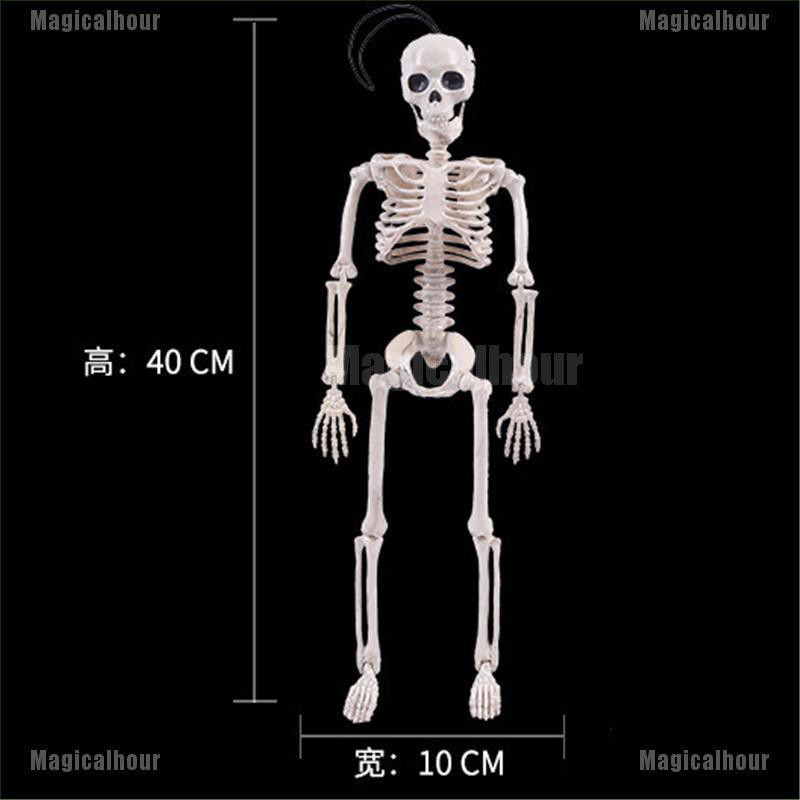 Bộ Xương Người Trang Trí Halloween