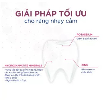 Kem đánh răng nọc Ong tự nhiên chống viêm nứu, sâu răng giảm ê buốt răng Be Venom 110g