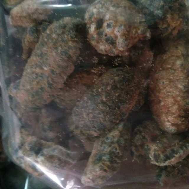 Chuối hột rừng chín 1kg