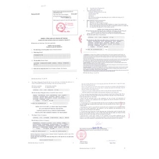 BỘ SẢN PHẨM TINH CHẤT TRÀM TRÀ  VEDETTE