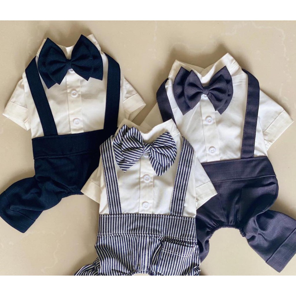 ÁO CHÓ MÈO - BỘ SƠ MI TRẮNG QUẦN TÂY/ VEST - CHỌN MẪU