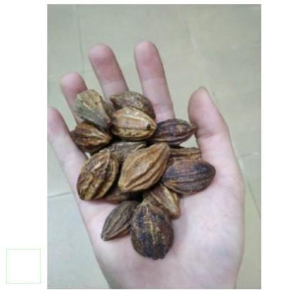 1kg KHA TỬ KHÔ THƠM NGON CHUẨN XỊN
