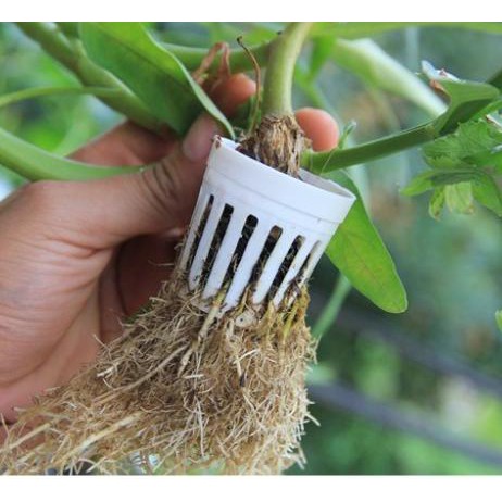 Đồ dùng làm vườn - 01 GÓI Phân bón lá cao cấp Đầu Trâu