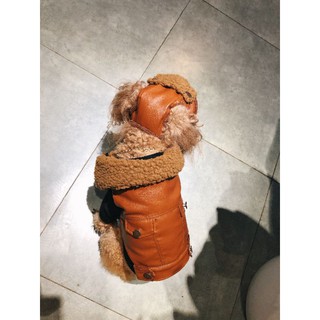 mũ da phi công cho chó mèo  Thời trang chó mèo  MatPetFamili.Com