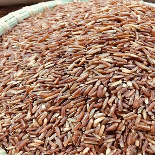 1kg gạo lức 2 màu cho gà,vịt,bồ câu,chim cảnh-gao lức chắc hạt cho gà