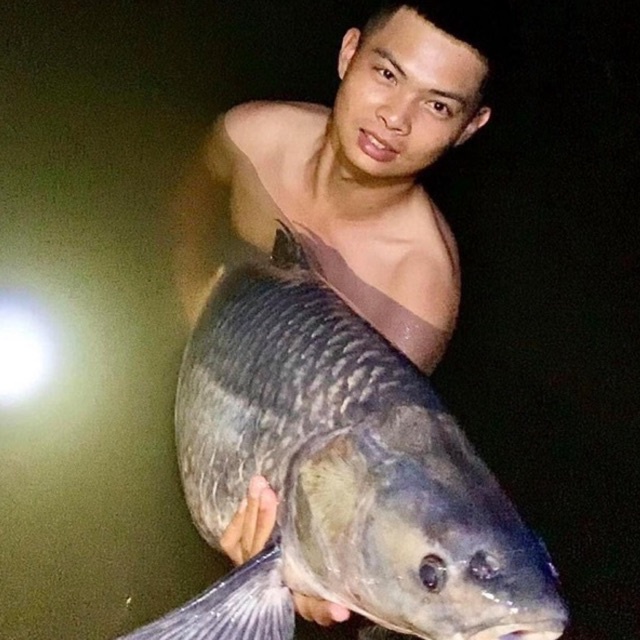 THÍNH CÂU CÁ LK HOÀ