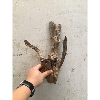 lũa san đá, bìn lin làm thuỷ sinh, ghép lan, bán cạn (bán theo kg)
