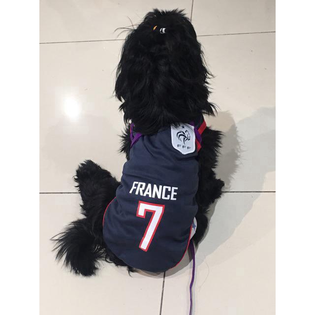 Áo không tay xinh xắn cho thú cưng (0.5-45Kg)