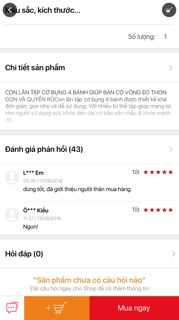 CON LĂN TẬP BỤNG 4 BÁNH (Tặng kèm Thảm và Chặn)