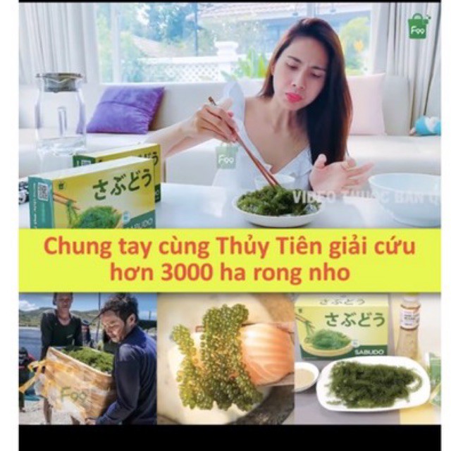 1 Gói lẻ rong nho Sabudo Nhật bản tặng kèm sốt mè rang hót nhất hiện nay | BigBuy360 - bigbuy360.vn