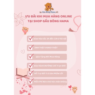 Gấu Bông Cá Mập Mặt mèo Cao Cấp - Gấu Bông Hama