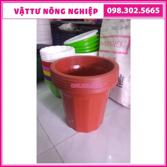 Combo 5 chậu nhựa trồng cây E330 (28x18x25cm)