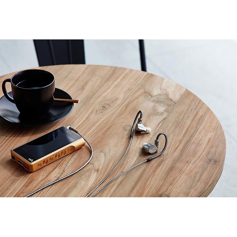 Tai Nghe Kiểm Âm In-ear Sony IER-Z1R | Chính hãng | Bảo hành chính hãng Sony 12 tháng toàn quốc