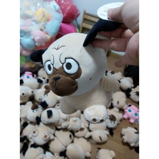 chó mặt quạu.nhăn.size 20cm
