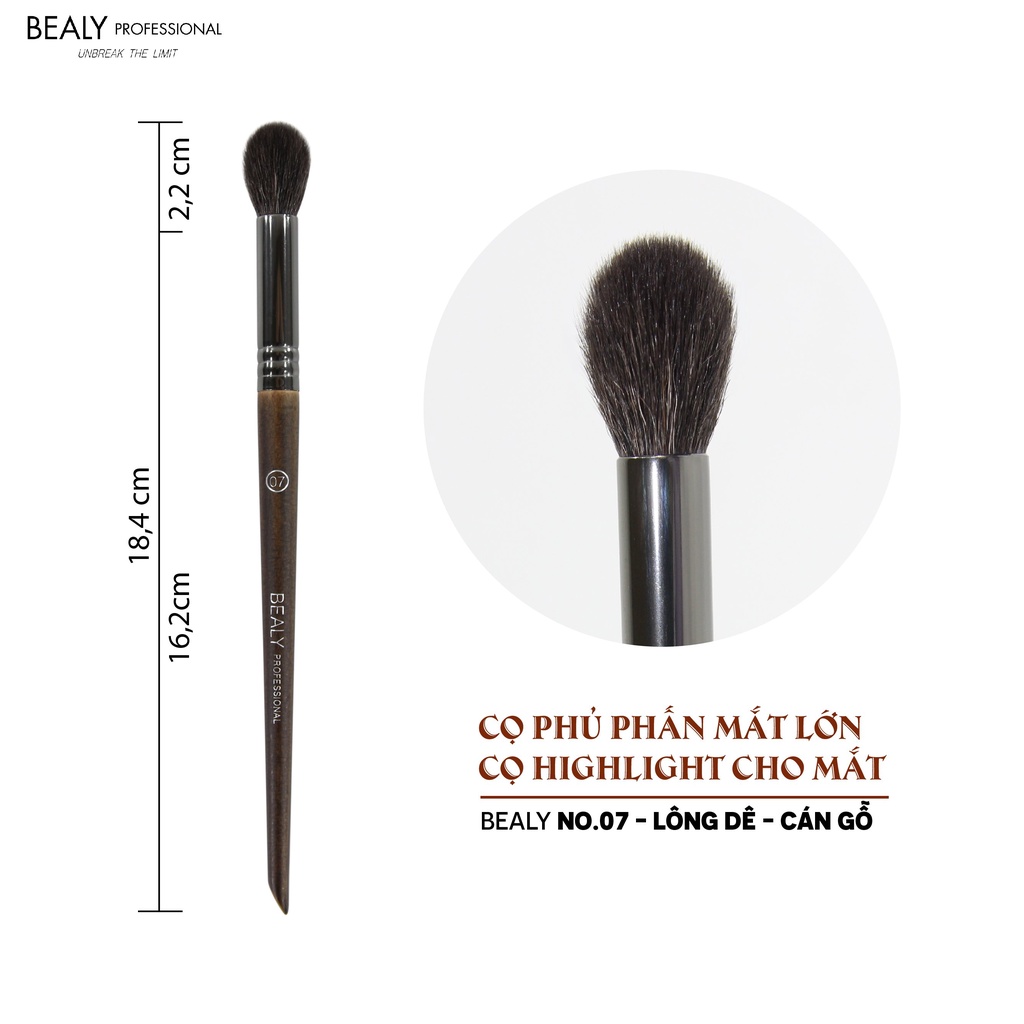 cọ phủ phấn nhiều loại