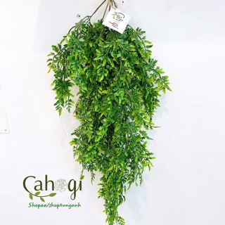 Cây Giả - Chùm Cây Lá Đinh Lăng Rủ Cỡ Lớn