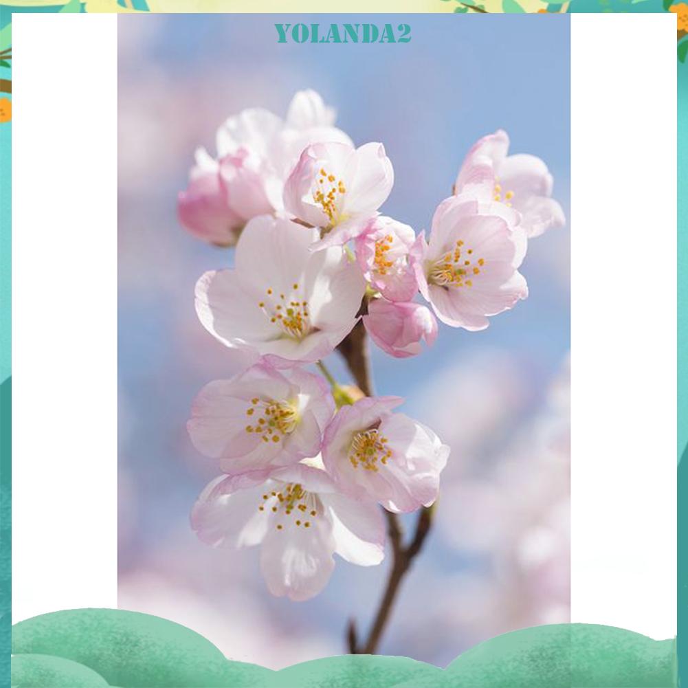 Bộ Tranh Đính Đá 5D Tự Làm Hình Hoa Anh Đào Xinh Xắn