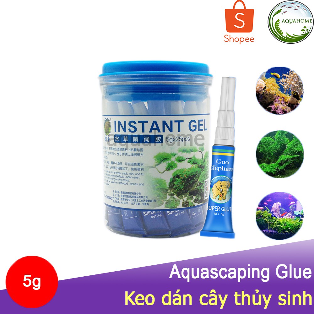 Keo dán cây thủy sinh, rêu, gỗ lũa, san hô đa chức năng