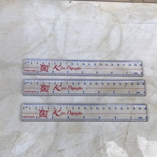 Thước 20cm kim nguyên cứng