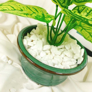 Đá sỏi trắng trang trí cỡ trung