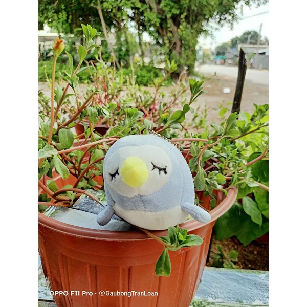 Móc khoá gấu bông dễ thương