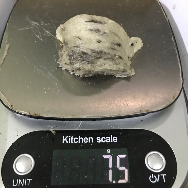 Yến sào thô nguyên tổ 10g +🎁🎁🎁