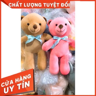 Gấu bông gấu nơ, gối ôm gấu nơ siêu mềm mịn dễ thương