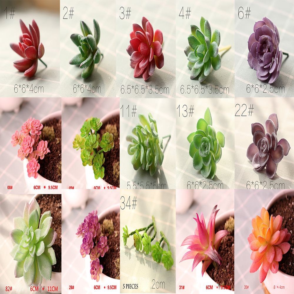 Cây sen đá nhân tạo đa sắc dùng trang trí độc đáo