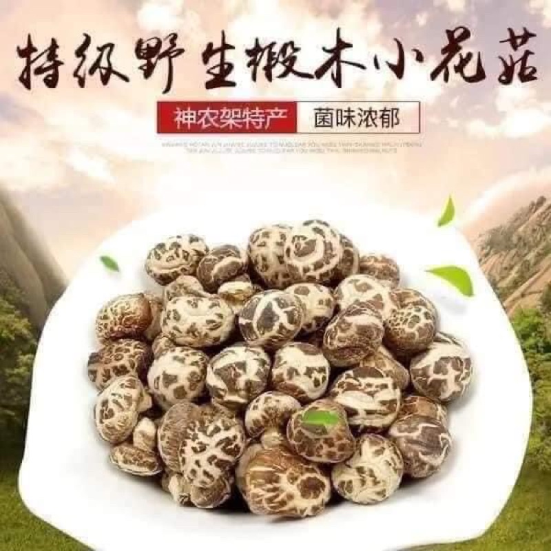 NẤM ĐÔNG CÔ MINI - BỊCH 500g