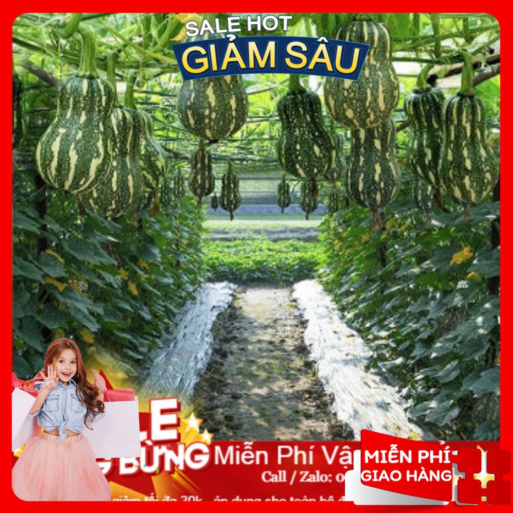 Hạt Giống Bí Hạt Đậu - 10 Hạt / Gói