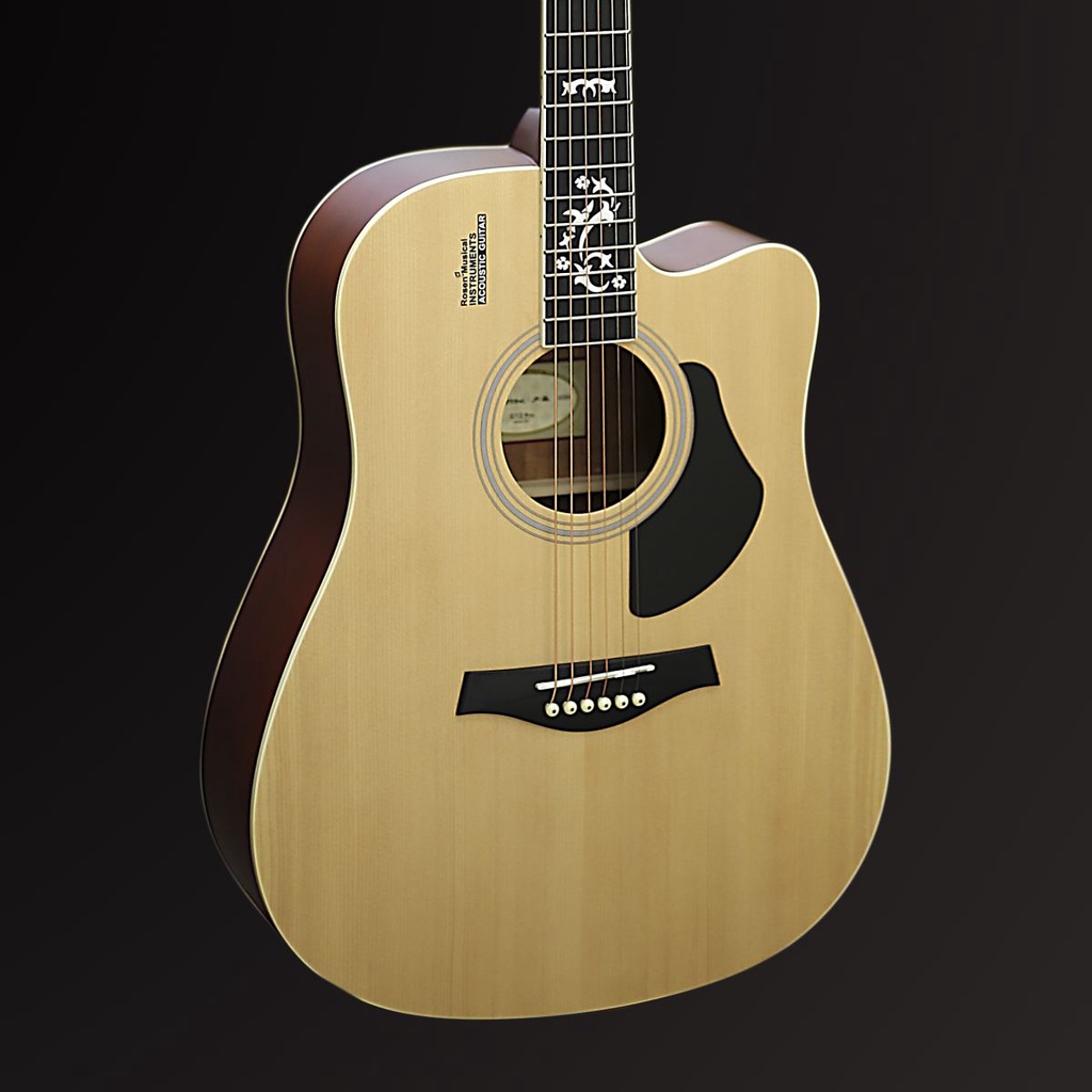 Đàn Guitar Acoustic Rosen G12 Pro Chính Hãng (Vàng hoặc Đen) Tặng kèm bao 1 lớp,capo,pick,ty chỉnh cần,giáo trình online